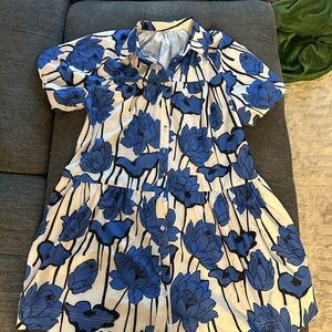 Floral Blue and White Button-Up Dress